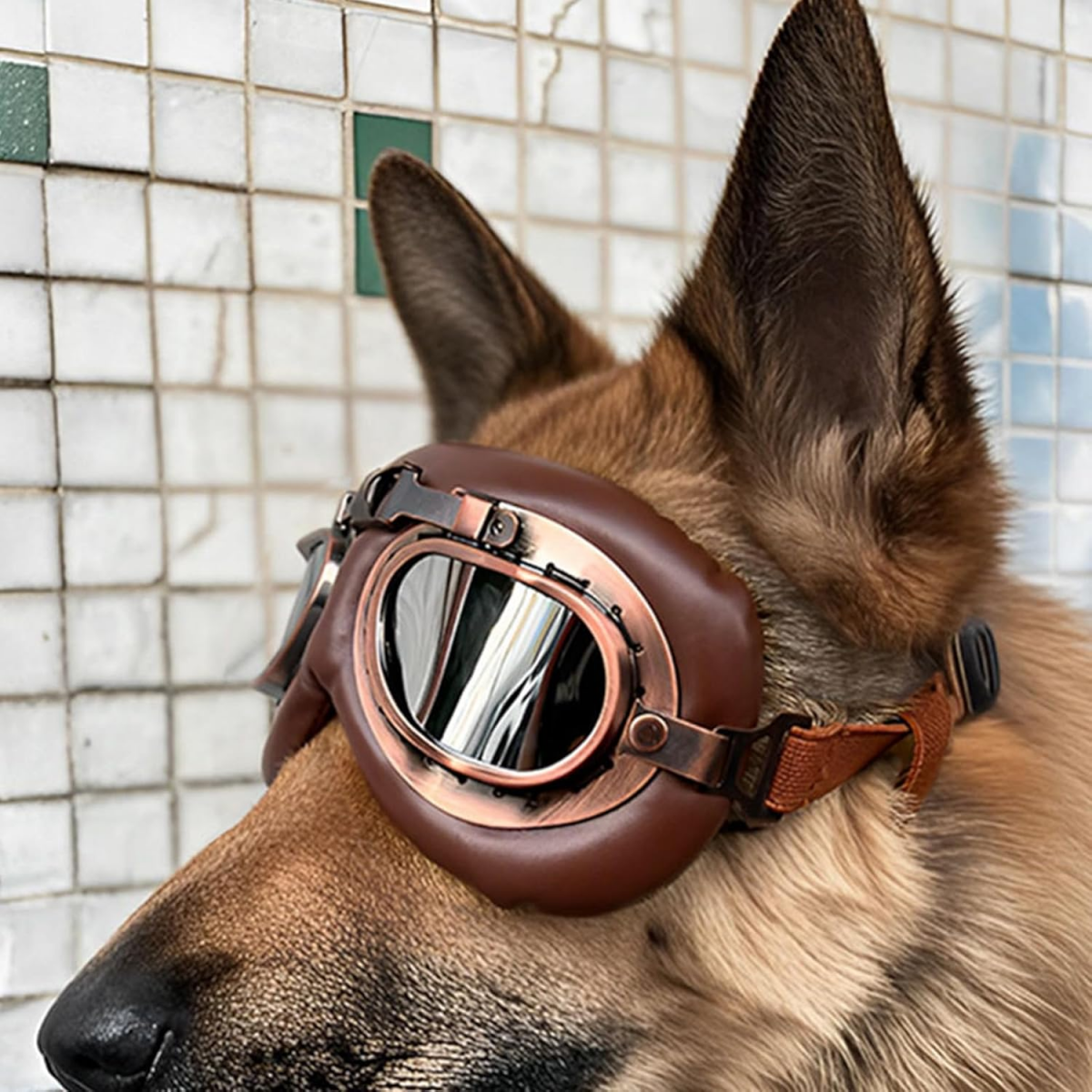 1 par de óculos de sol para cães - óculos de proteção vintage com tira ajustável - adequados para cães de tamanho médio e grande. - 5