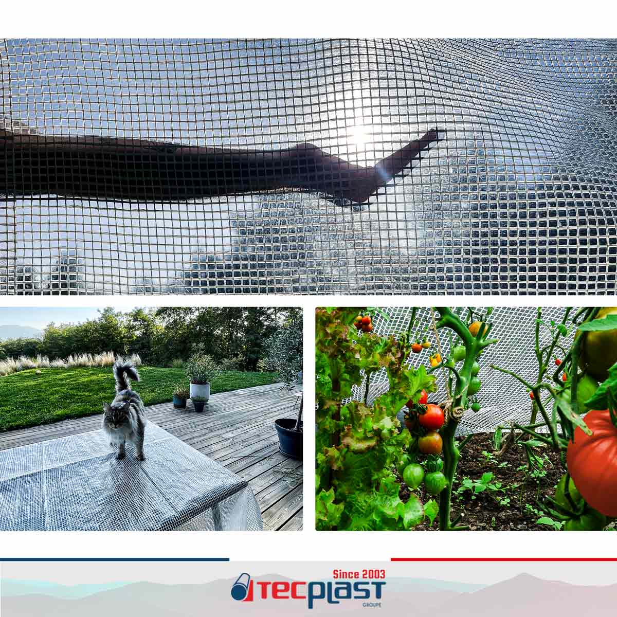 TECPLAST Bâche Transparente Armée 3x4 m - TR170MU - Bâche de Protection - Haute Qualité - Imperméable - Résistance Anti-UV - 2