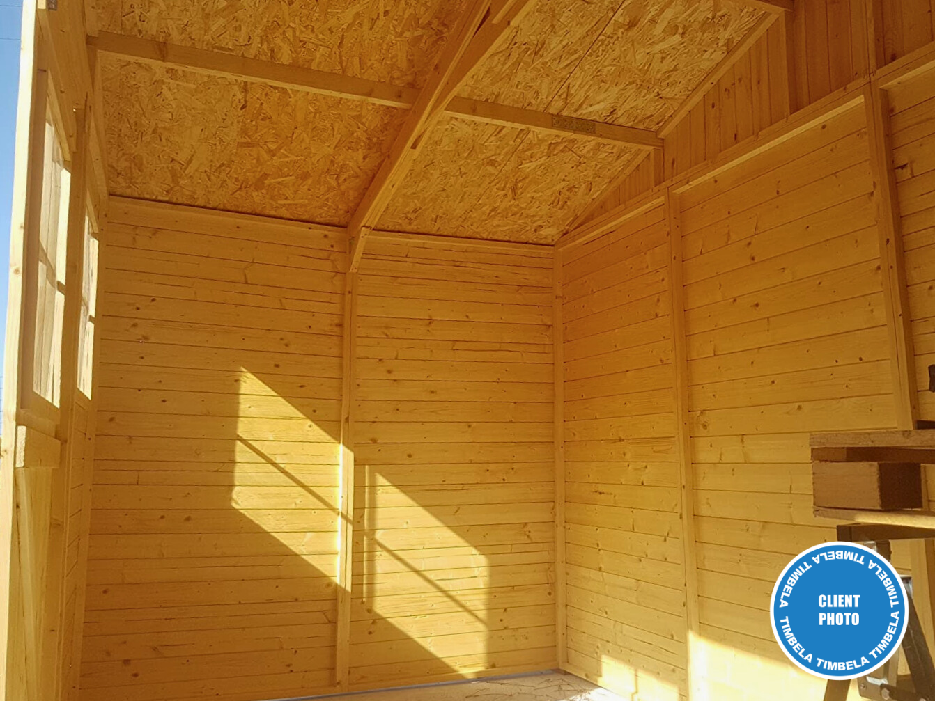 Cobertizo de madera para jardín - A246x418x220cm/8m2 Cobertizo de madera natural - Taller de Jardín - TIMBELA M332 - 7