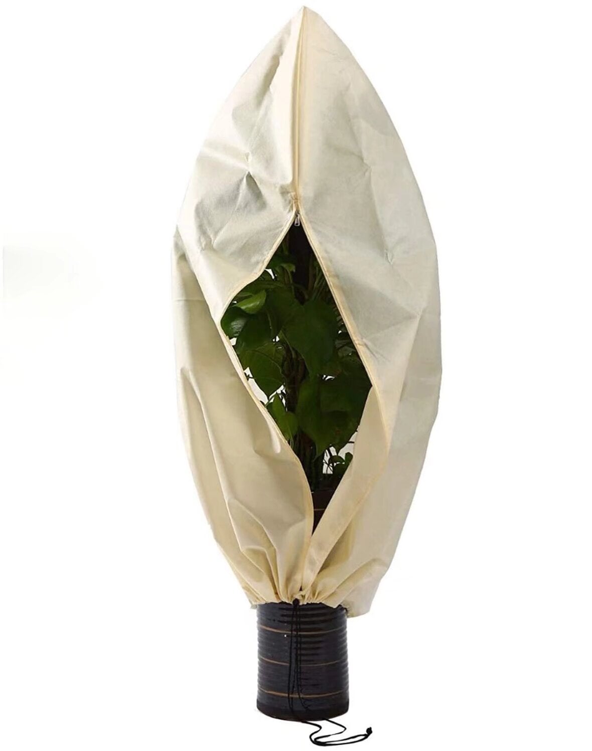 Housse hivernage plantes non tissée 80 g/m² 240x200 cm, protection ...