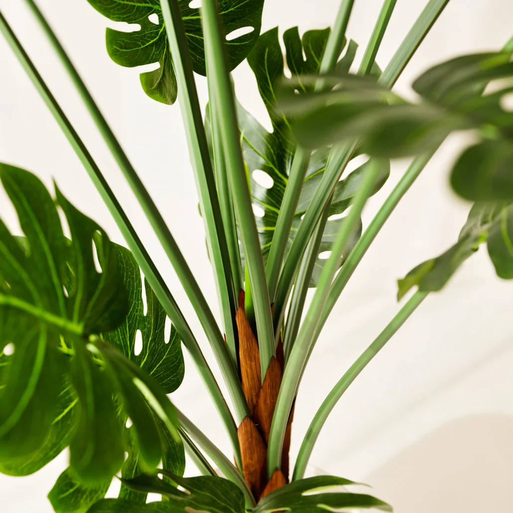 Monstera artificial Deco 150 cm Bonerva | Planta artificial alta para decorar interiores en hogares, negocios y hoteles | Sin mantenimiento - 2