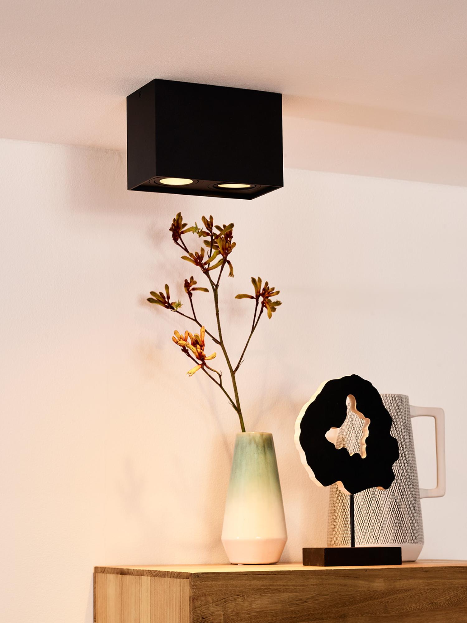 Spot plafond TUBE - Noir - 2xGU10 (MR16) - Lucide - 4