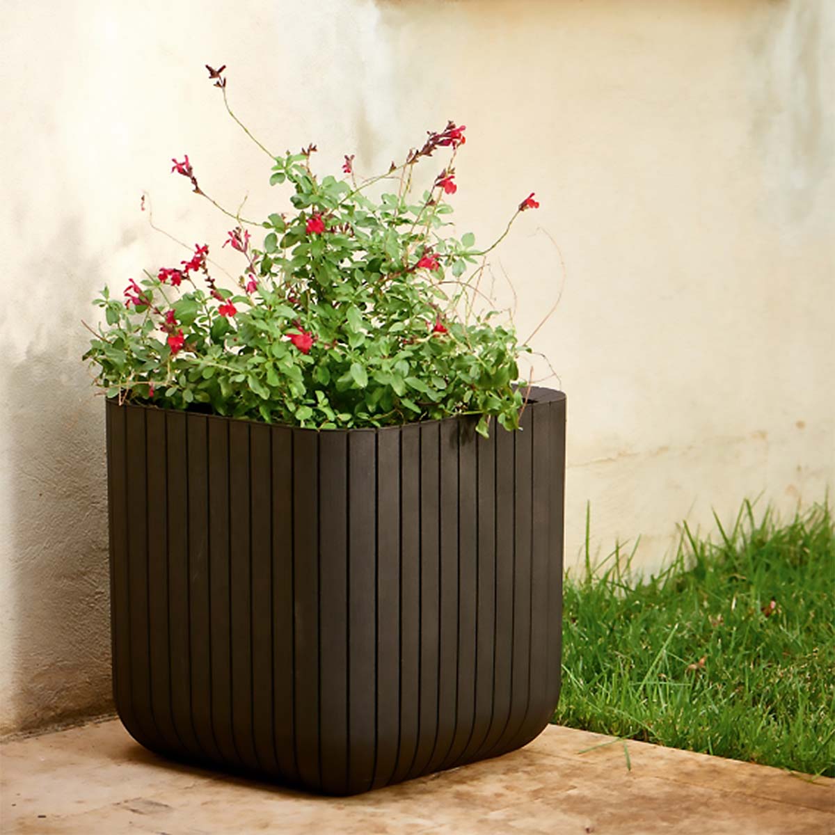Keter Vaso Cube S - 2