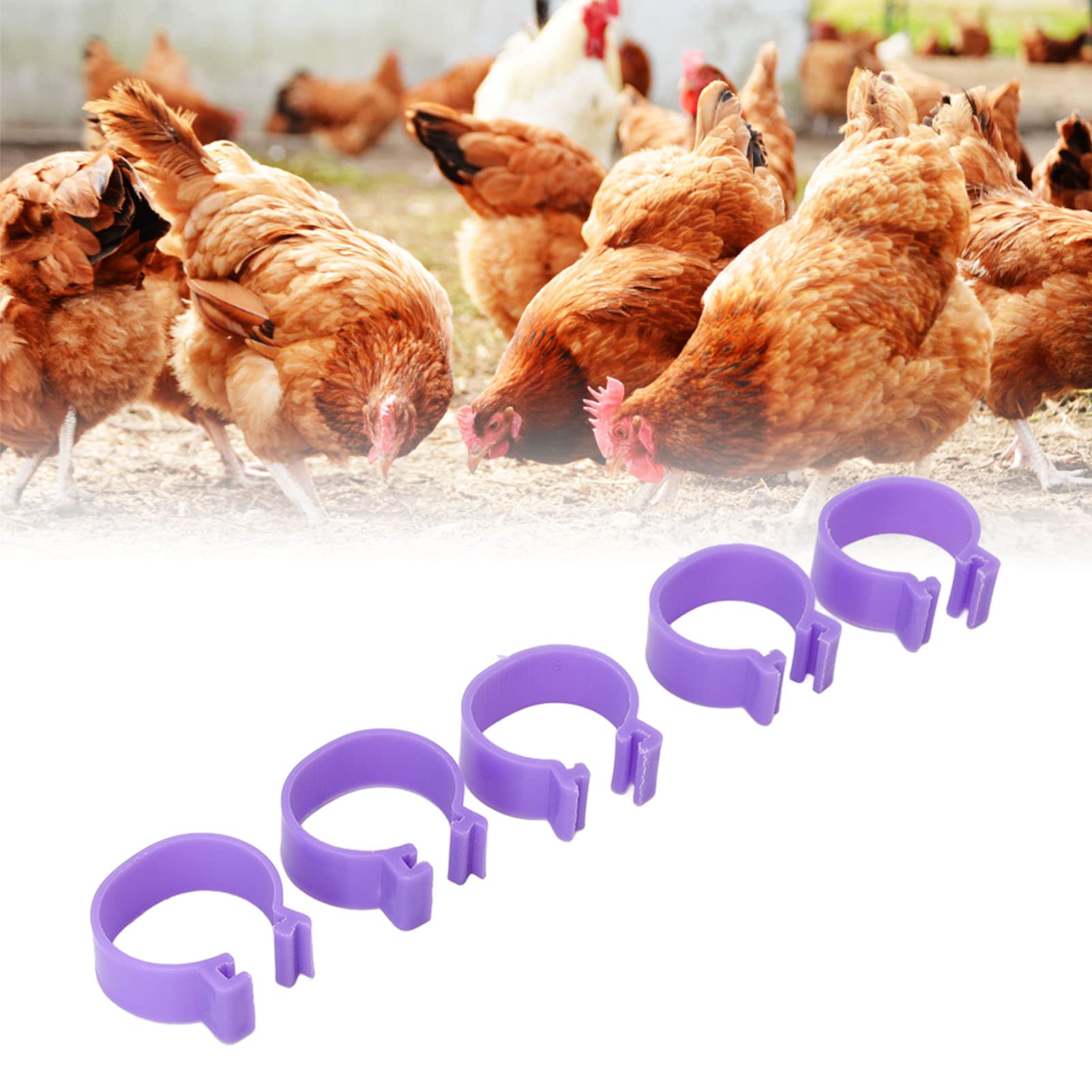 6 Abbeveratoi Automatici Per Polli, Abbeveratoi Automatici Per Polli, Abbeveratoi Per Pollame In Plastica Rossa Per Pollo Anatra Pollame Uccelli 83677842