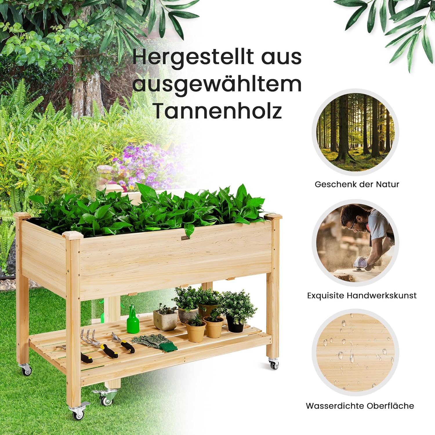 Lit Surélevé avec Roulettes, Lit de Jardin en Bois de Sapin avec étagère & Trous D'écoulement,Naturel, 120 X 59 X 84 cm - 2