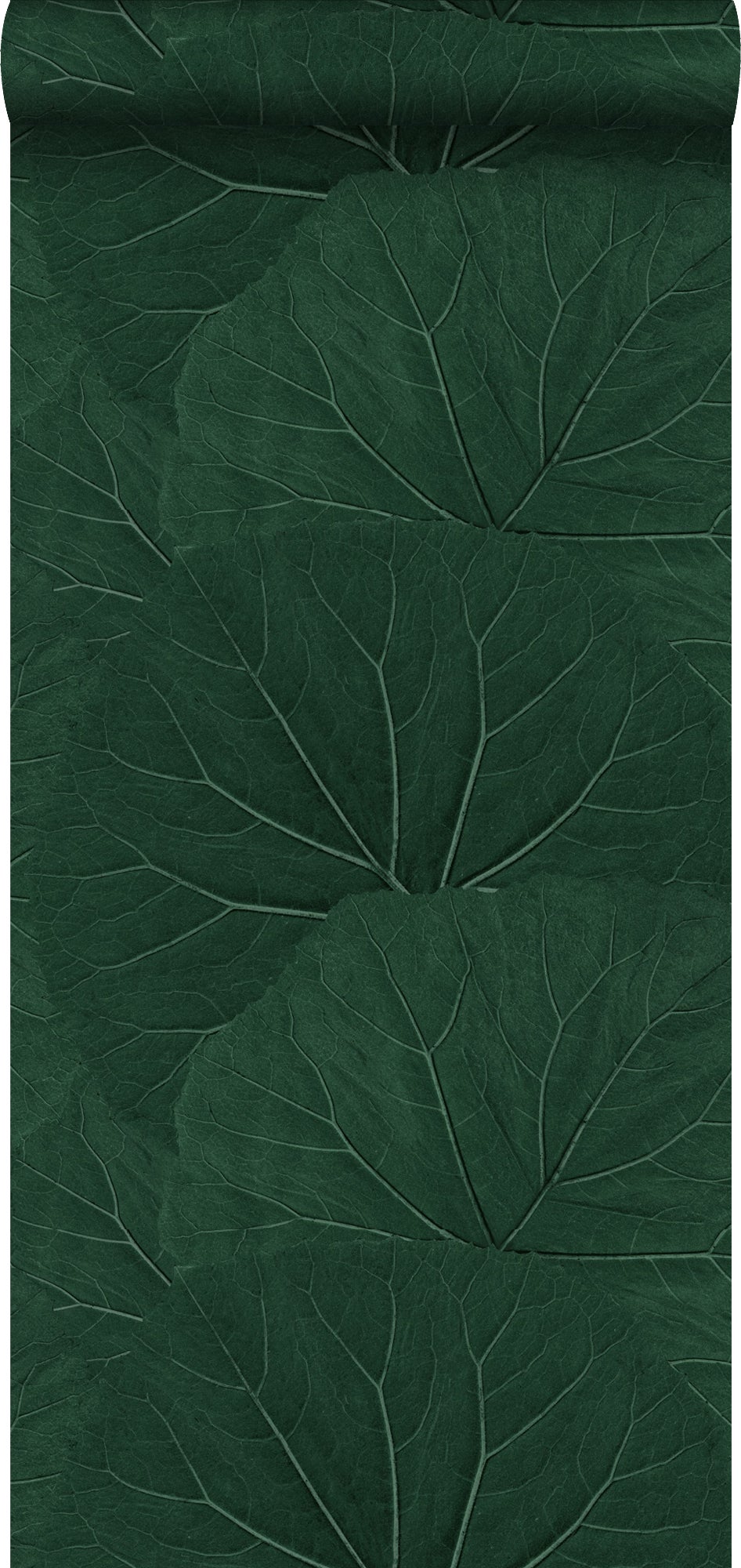 Tapeta tropikalne liście ciemnej zieleni - 53 cm x 10.05 m - WALLS4YOU