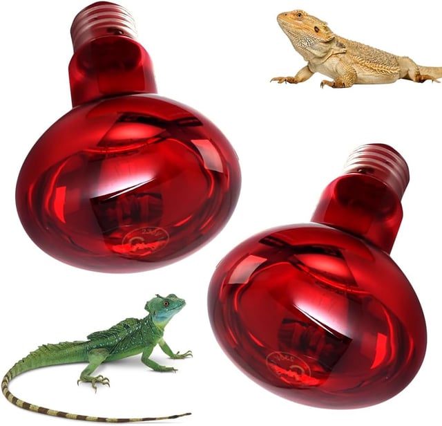 Reptile Ampoules Chauffantes, 2 Pièces 100W Lampe Chauffante Reptile, E27 Ampoule Infrarouge Chauffante, Ampoule Chauffante, pour Reptiles, Lézards, T