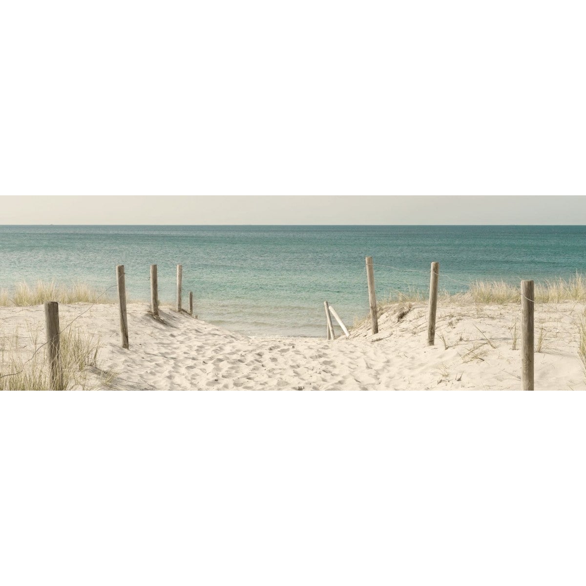 RUNNER CENTROTAVOLA AMARANTA di Randi in Cotone 50x150 cm stampa digitale Y355 EUR 29,90 - IT