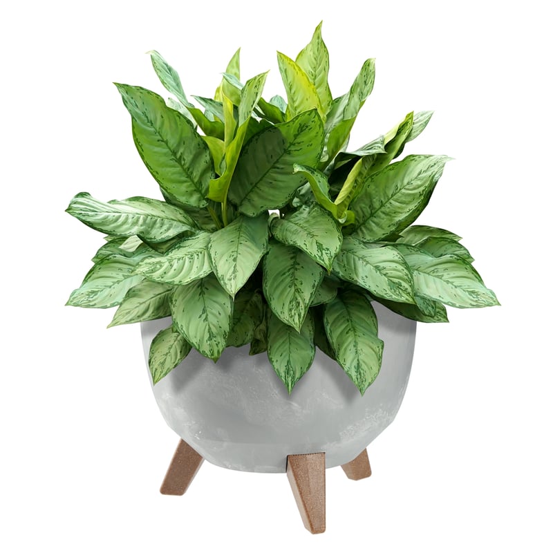 DONICZKA DONICA NA KWIATY 29cm OSŁONKA + WKŁAD NÓŻKI KOREK KWIETNIK SZARY