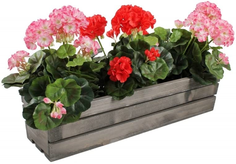 Jardinière en Bois avec Insert en Plastique Gris 60 x 18 x 15 cm - KOTARBAU - 8