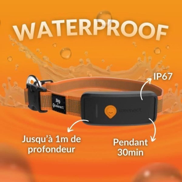 Coleira GPS para cães - WEENECT Dog XT - Antena XL - Ä prova d'água - Coleira Julius-K9 - Funciona com singura - Laranja - 5
