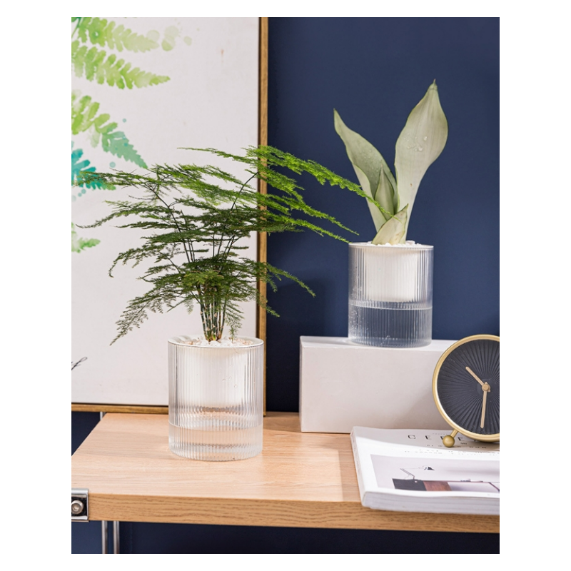 Lot de 3, pots auto-arrosants calibre 15 cm, pots en plastique transparent avec réservoir d’eau pour plantes vertes et fleurs en pot - 4