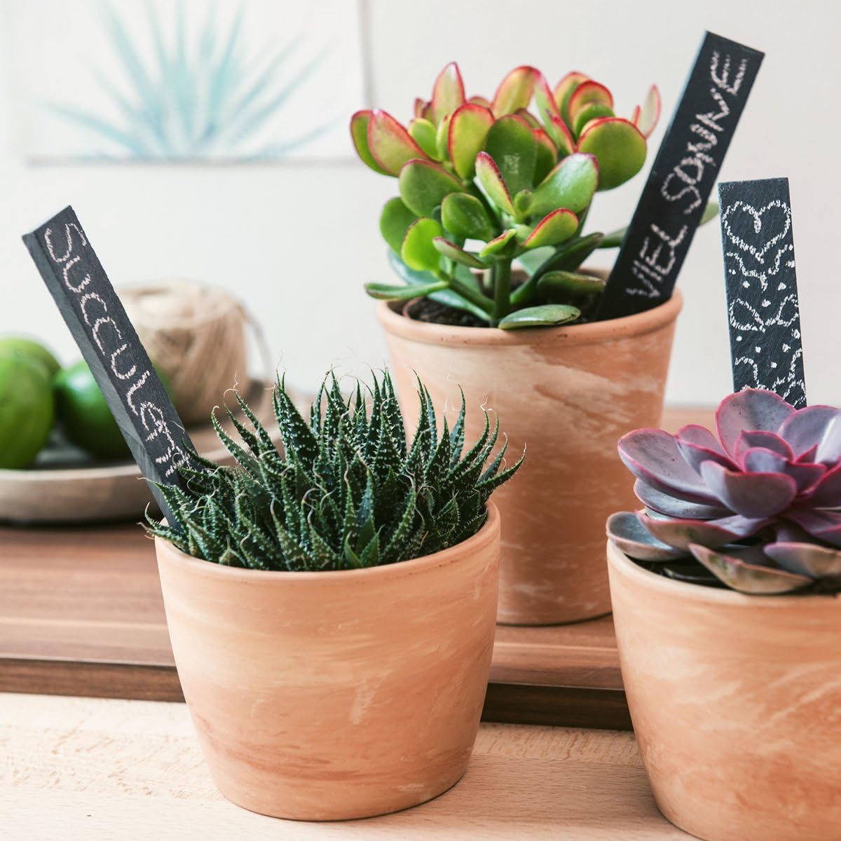 Slate Plant Label - Plant Marker 15 x 2.5 cm - Set of 10 Garden or ...