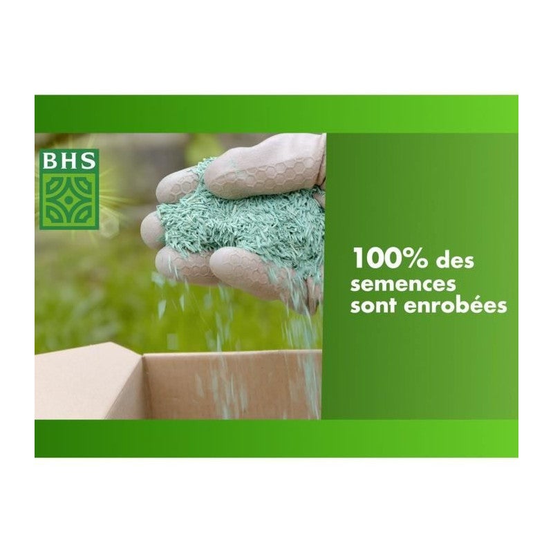 Mélange Prairie BHS - 1kg Pour 100m² - Gazon Extensif Sans Entretien - Pour Pâturage Animaux
