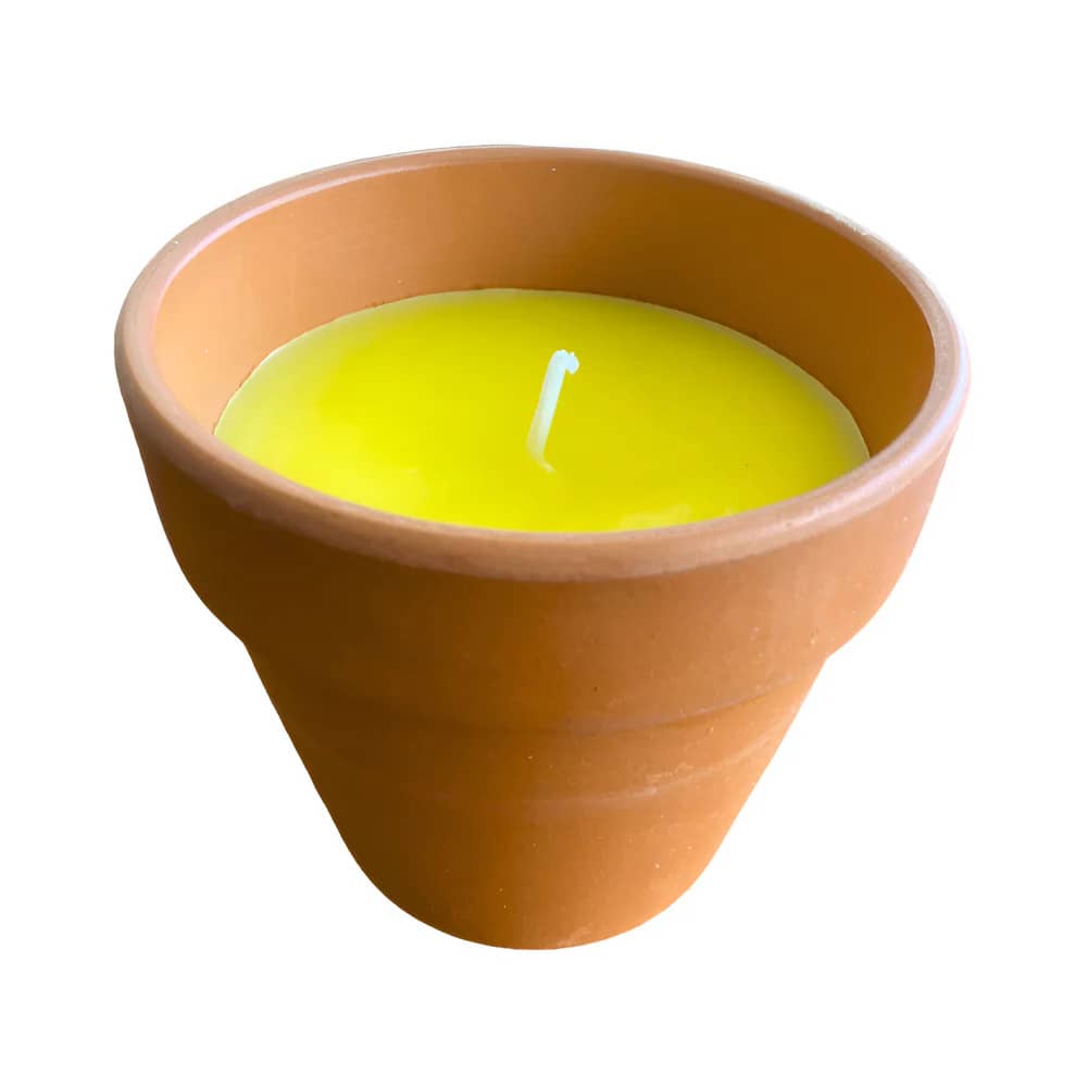 Bougie antimoustiques à la citronnelle en pot de terre cuite, 1 unité — free download