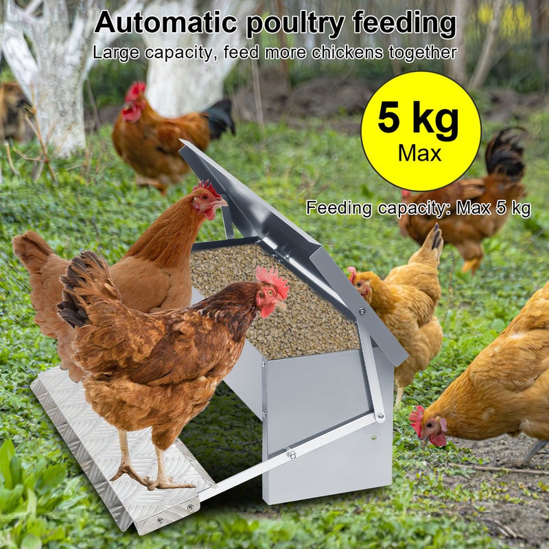 Mangeoire automatique avec pédale antidérapant, 5kg, Anti-nuisibles,Prévenir le gaspillage, acier galvanisé - 4