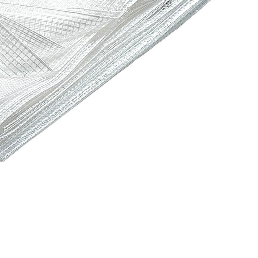 Bâche transparente 80 g/m2 WERKA PRO 3 x 5 m - 5