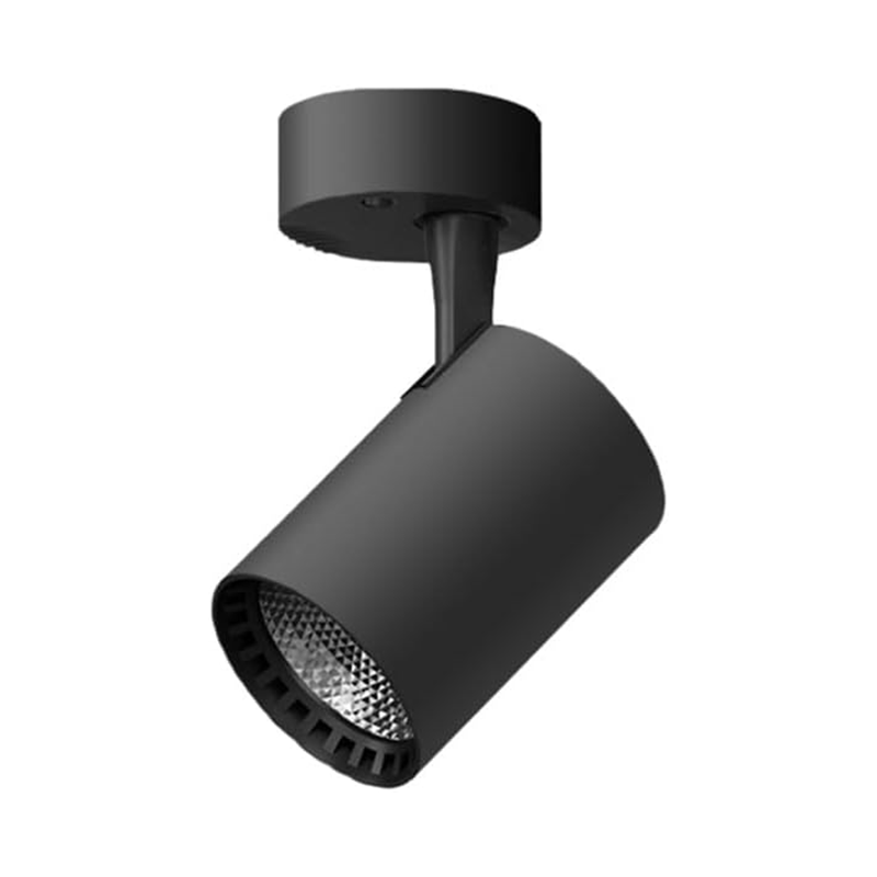 Oświetlenie korytarzy, oświetlenie balkonów, reflektorki regulowane, oświetlenie muzeów, lampy sufitowe, 30 W, 3000K, kolor czarny.