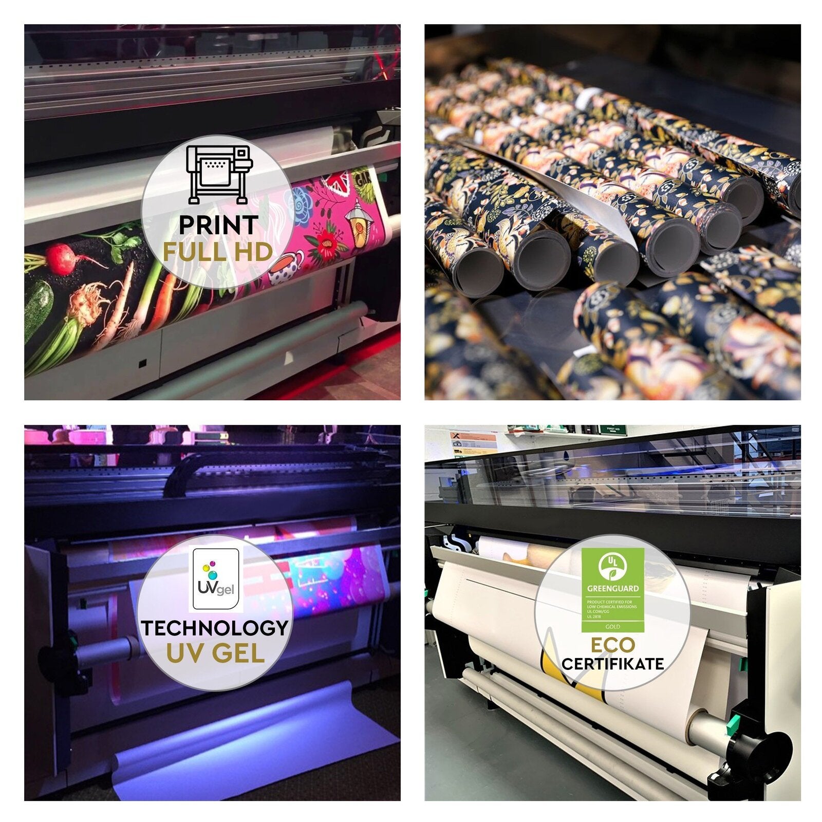 Papier peint paon de couleur - 250 x 175 cm - 4