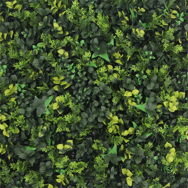 Barbuda | FOLY - ignifuge / anti-feu - 50 x 50 cm - Mur végétal artificiel intérieur - Imitation lierre / hedera - Garantie UV 3 ans - JIVANA - 2