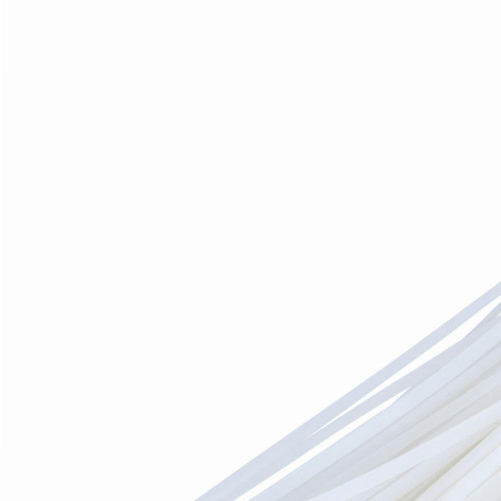 Collier rapide blanc lot de 100 colliers 300 x 4,8 mm - 5