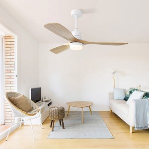 Ventilatore Silenzioso Luce Dimmerabile Ventilatore Da Soffitto Con Luce LED - 72W, 6 Velocità, Telecomando E APP, Timer, Per Soggiorno E Camera Ventilatore Silenzioso Per Soggiorno