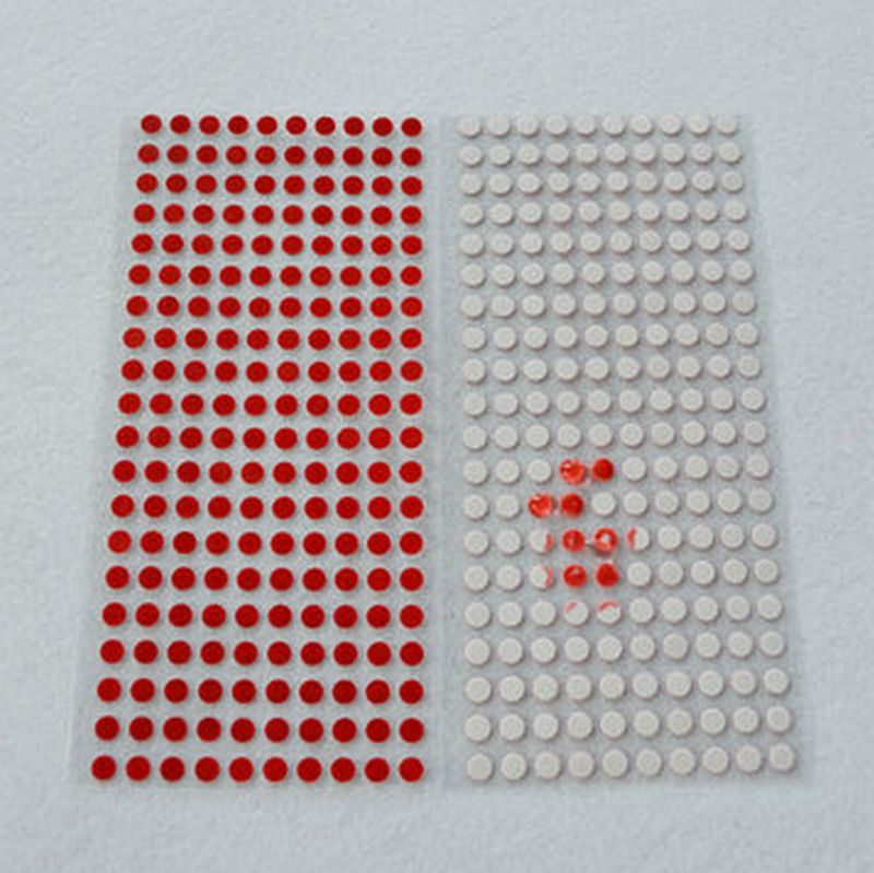 300 sceaux de sécurité adhésifs sensibles à l'eau avec indicateur de garantie de 8 mm - 5