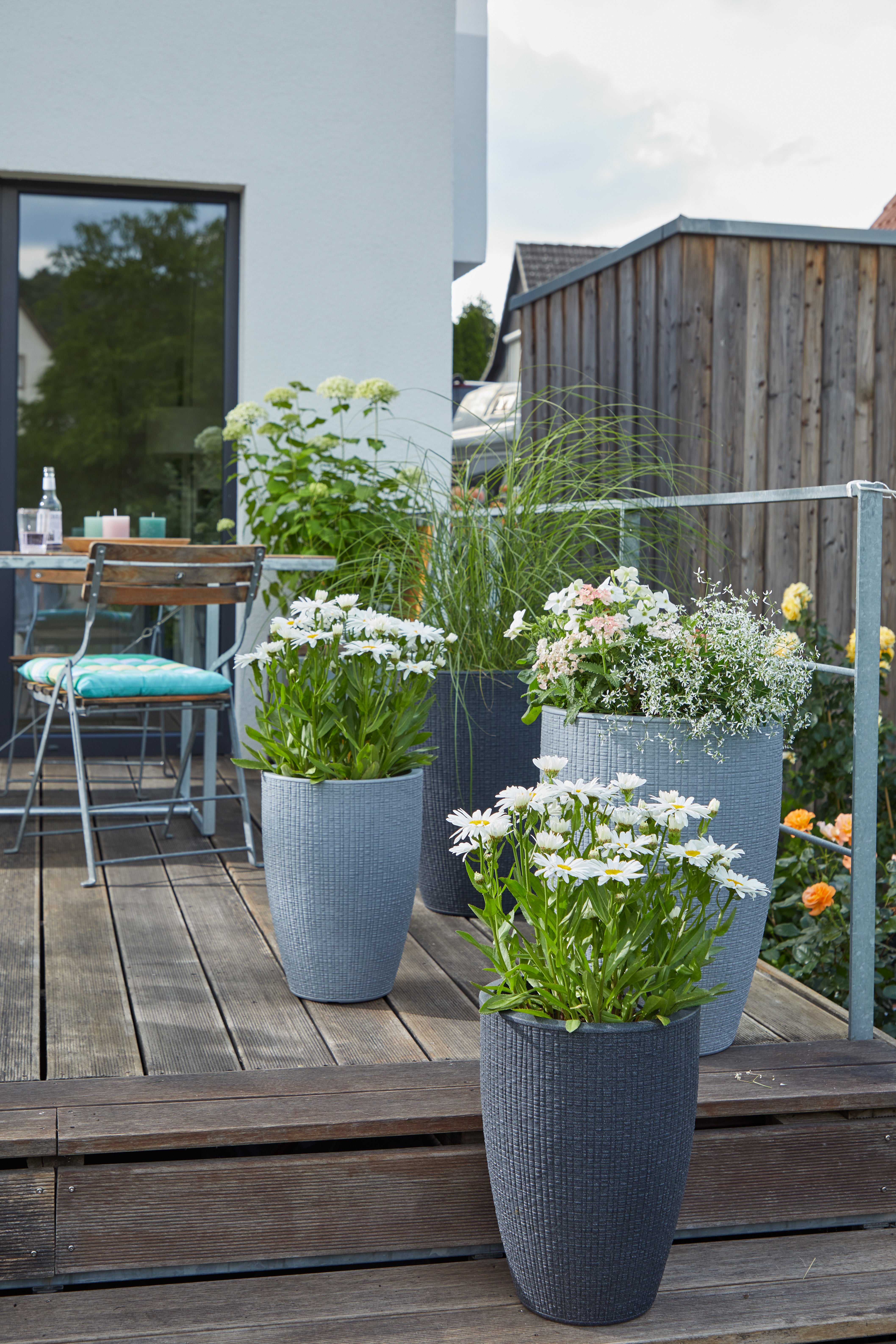 Scheurich Barceo High 40, vase/pot à fleurs/jardinière, cylindrique, coloris: Stony Grey, fabriqué avec du plastique recyclé, pour l’extérieur - 3