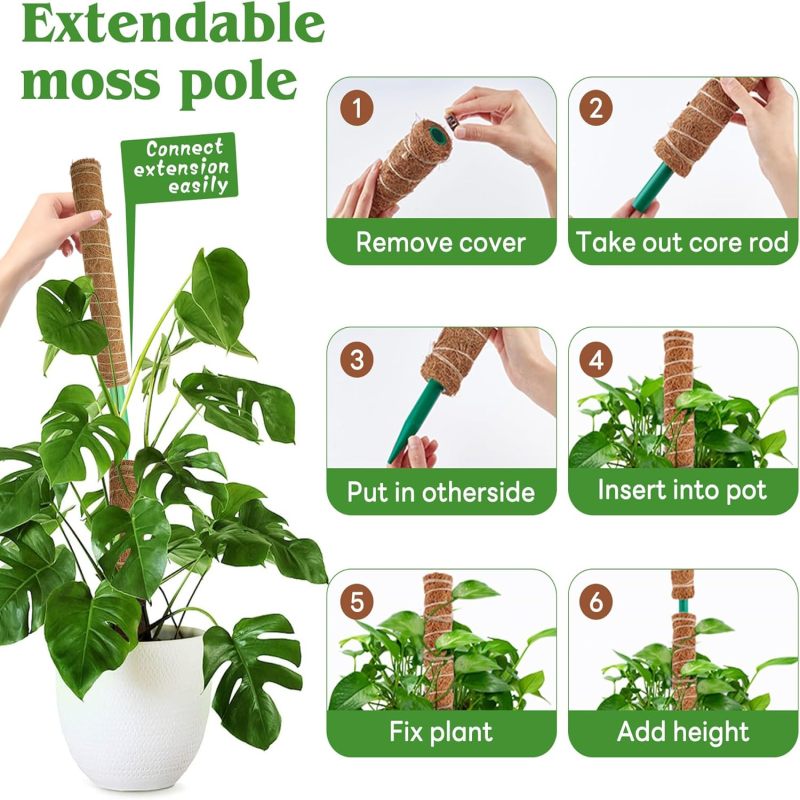 Tuteurs mousse 4 pièces&nbsp;– empilables fibre coco – support Monstera, pothos, philodendron – int/ext. - 4