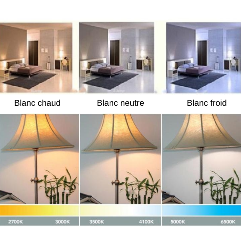 Ampoule E27 LED 25W 220V G140 300° Globe - Blanc Froid 6000K - 8000K - SILUMEN - 2