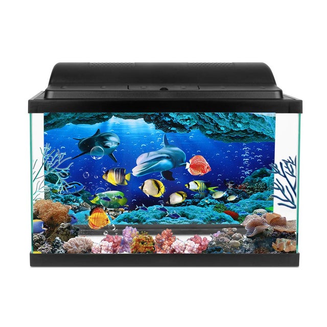 Sfondo Per Acquario Vinile 61x30cm - Design Alghe Fiume Per Decorazione - Foto 5