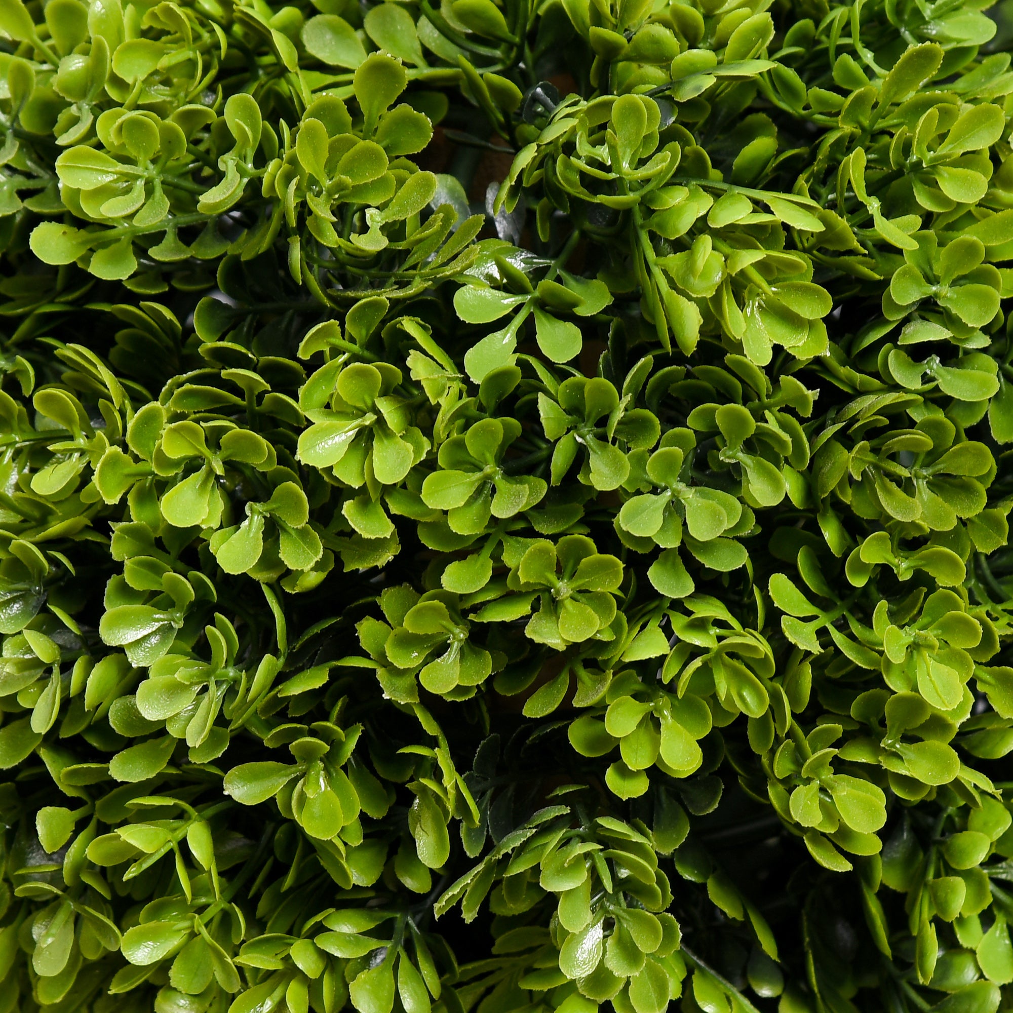 Plante artificielle buis 90 cm en pot avec protection UV, fausse plante verte décorative - 5