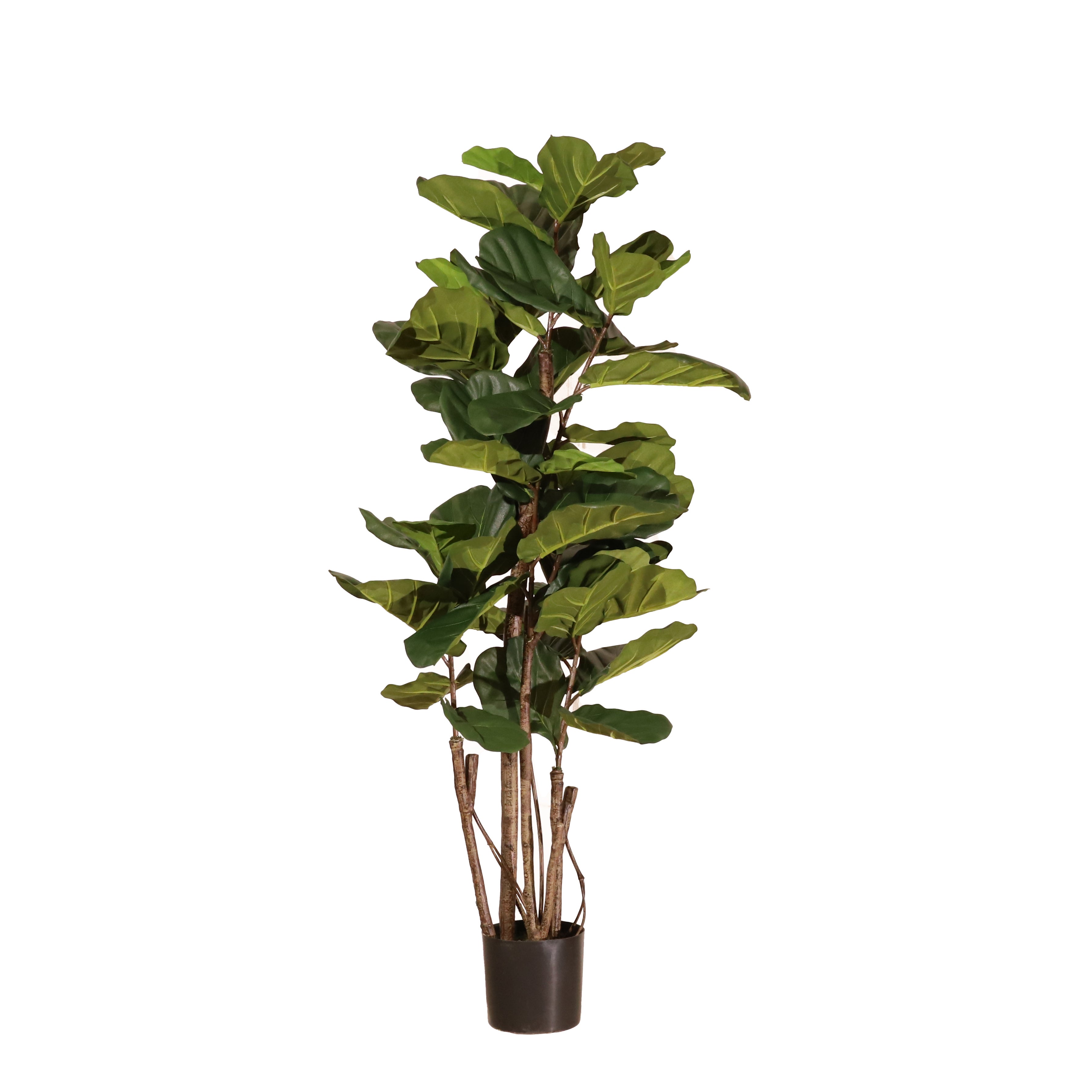 Naturing Monde  Planta Artificial Ficus Lyrata 180Cm, -Interior , Leroy Merlin