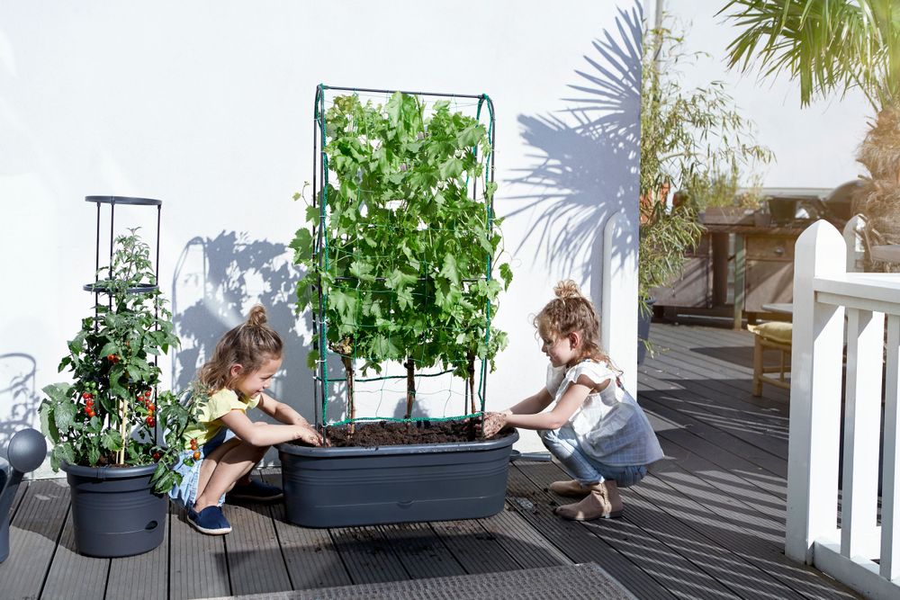 Elho Green Basics Veggie Wall 80 Living Black Fioriera Ovale - 3