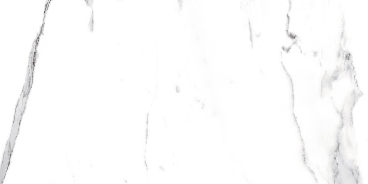 Piastrella rettificata per pavimento o parete interna 60 cm x 120 cm - Swiss White Grey - 8