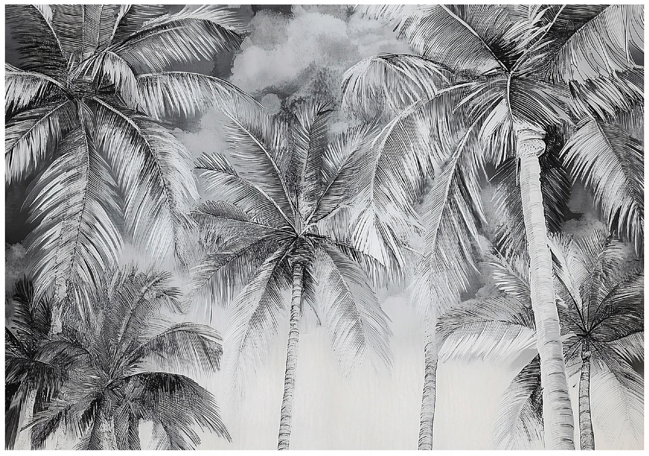 Papier Peint pour le Salon Noir et blanc Palmiers Intissé Panoramique
