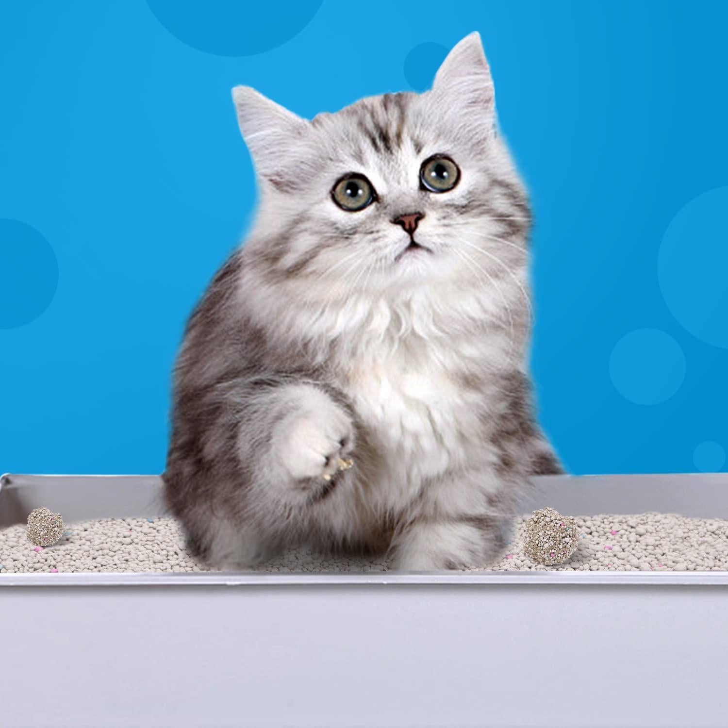 Arena aglomerante de bentonita para gatos sin olor Nobleza - 4