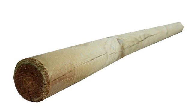 Palisada faza/szpic Roma 3x150 cm (palik do pomidorów)