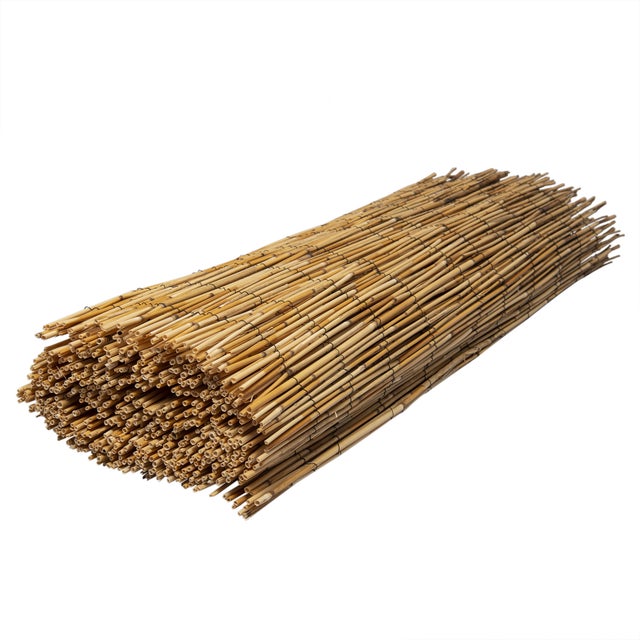 Canisse en roseau naturel WERKA PRO 1,5 x 5 m