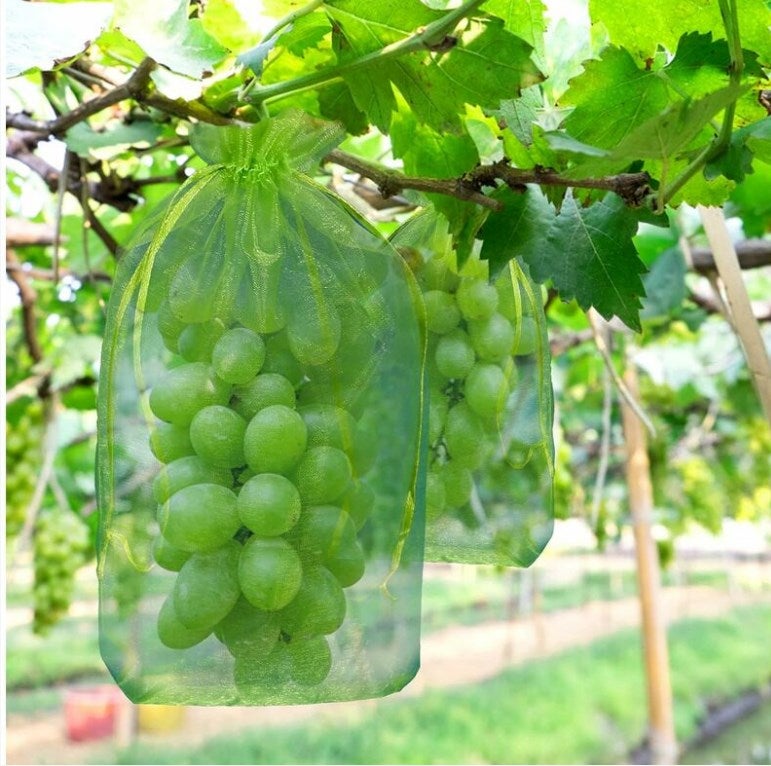 Worek na melony odporny na muchy i ptaki, 100 sztuk, 30 x 20 cm, ze sznurkiem ściągającym dla pełnej ochrony