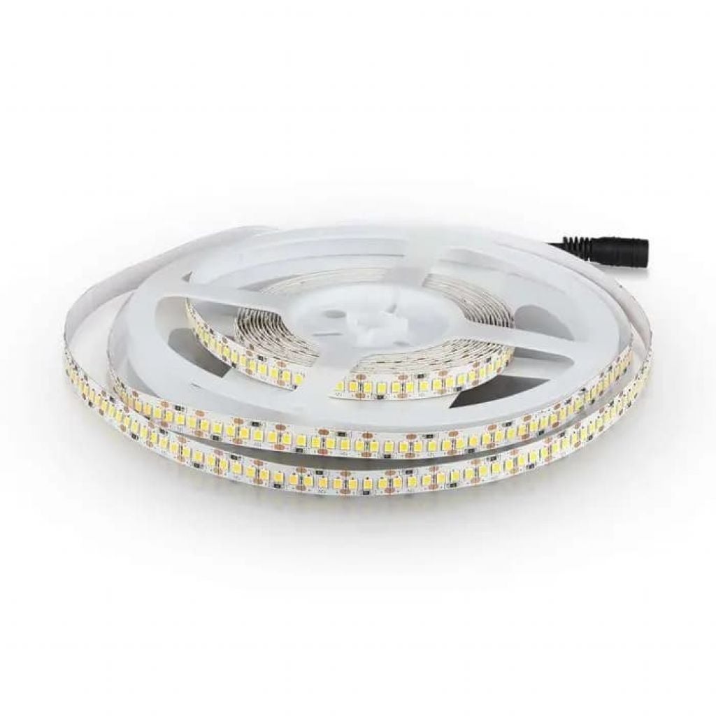 Taśma LED SMD2835 17W/m 5m 204 LED/m 12V 6400K IP20 10mm