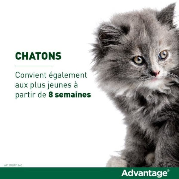 ADVANTAGE 40 - 4 pipetas antiparasitárias - Para gatos e coelhos com menos para 4 kg - 4