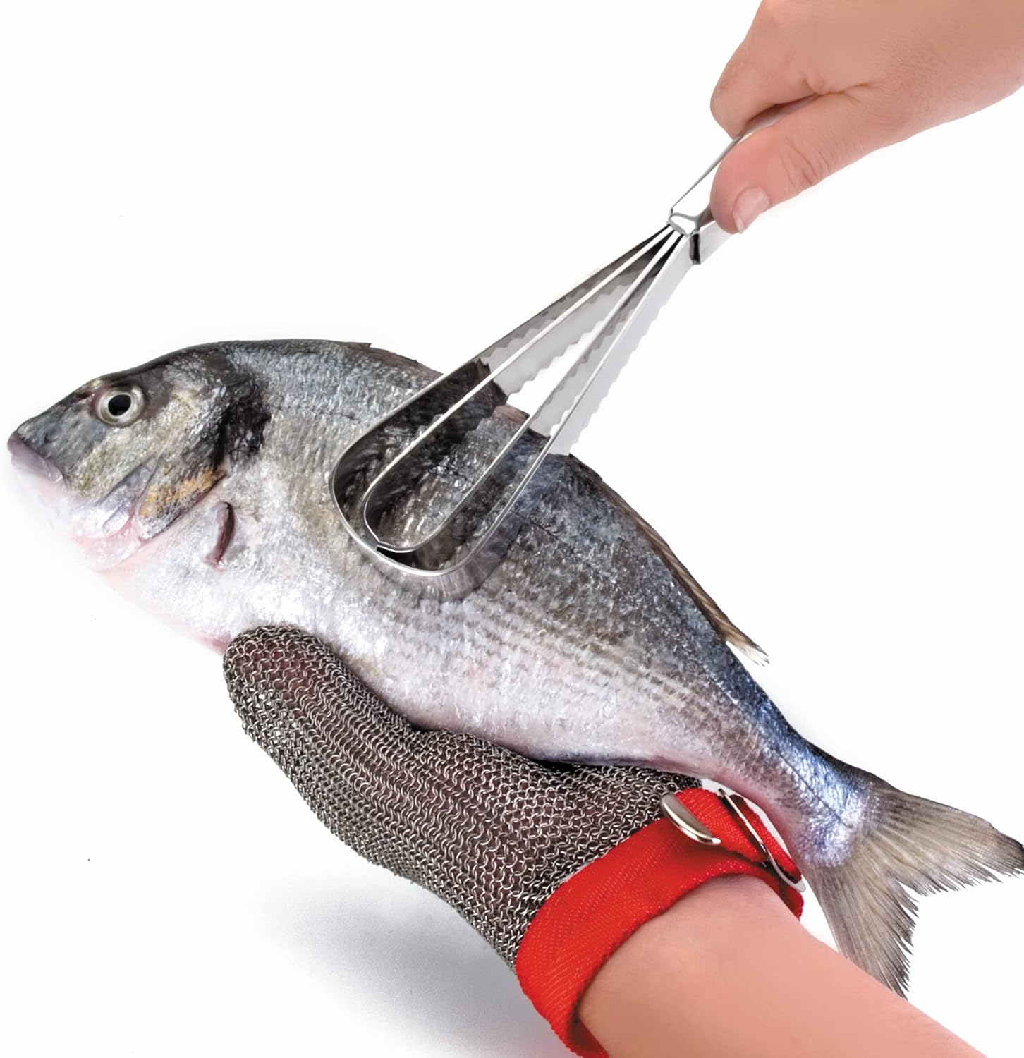 pz. Squamatore per pesci, coltello per squamare, squamatore per pesci in acciaio inossidabile, squamatore per pesci per rimuovere le squame dei pesci, - 3