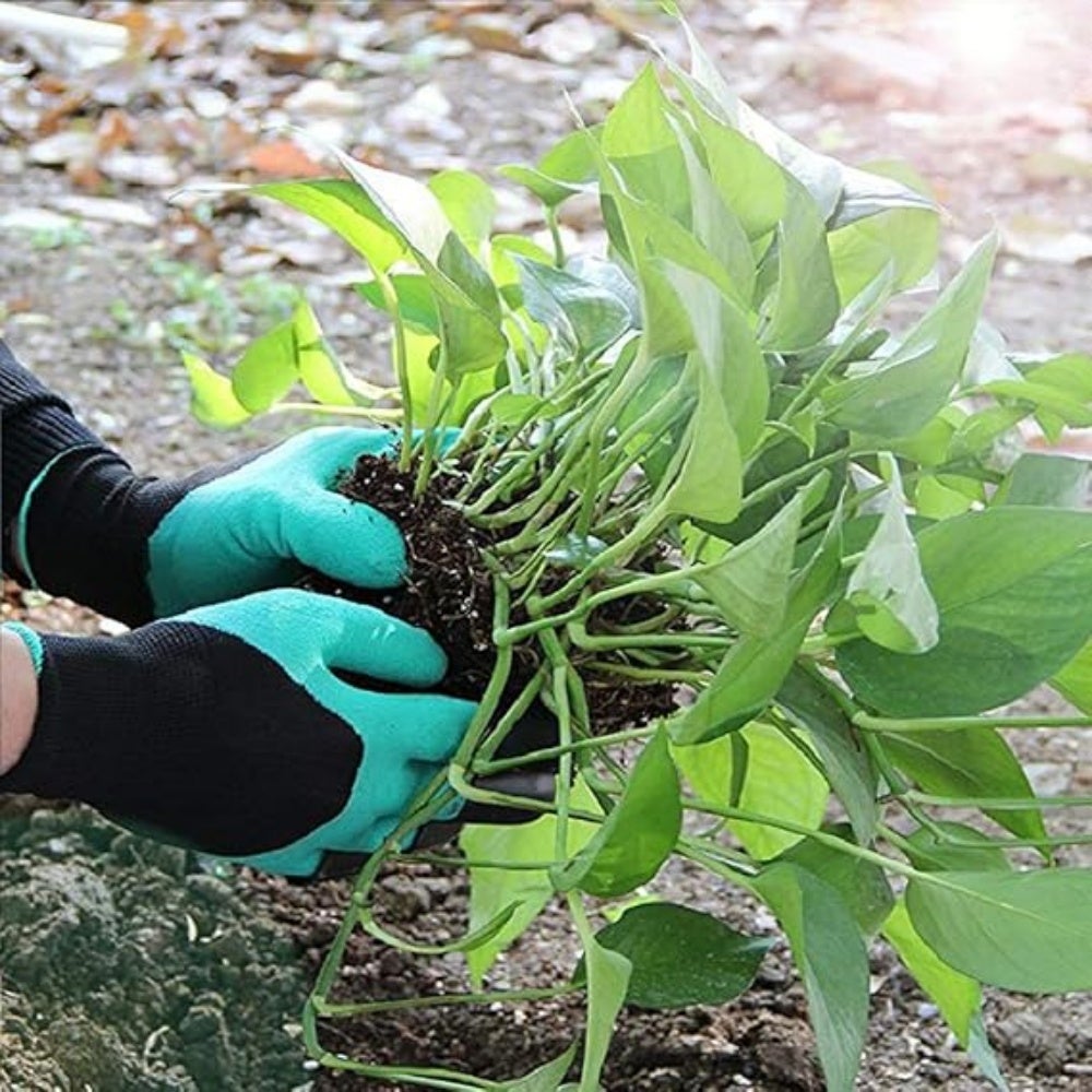 2 paires de gants de jardinage pour la plantation, gants de jardinage griffes pour femme - 2