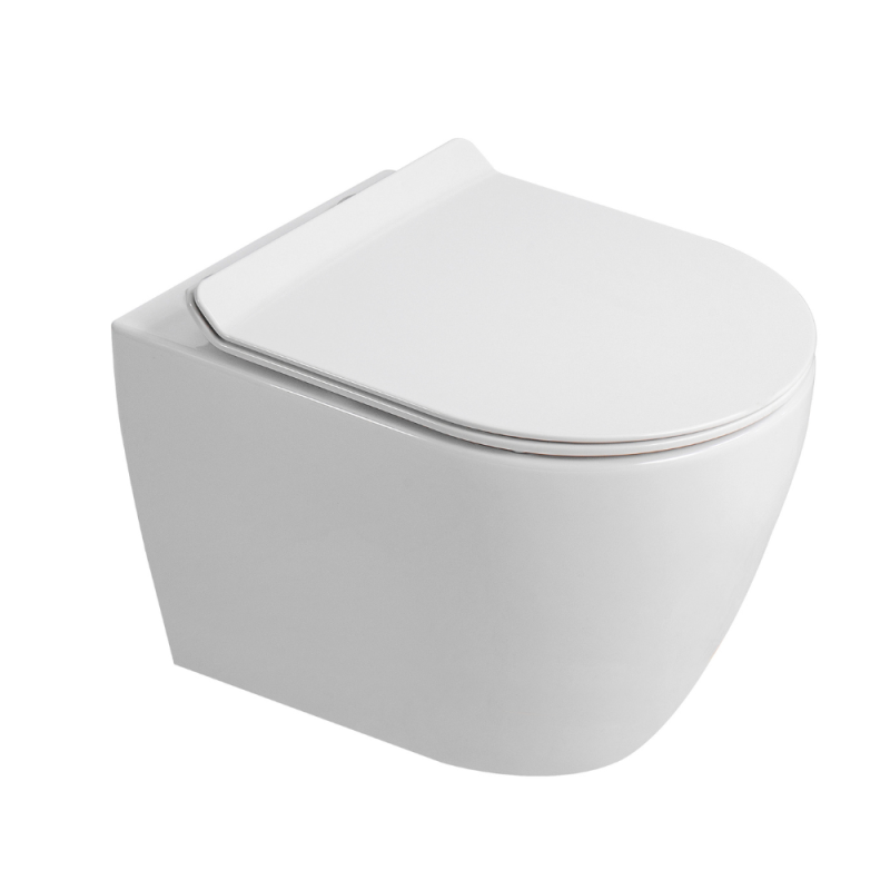 Duofix Pack WC bâti-support 112 cm + WC suspendu sans bride Ceramia avec abattant SoftClose + plaque blanche (GEBCEPXWT01-FR) - 3