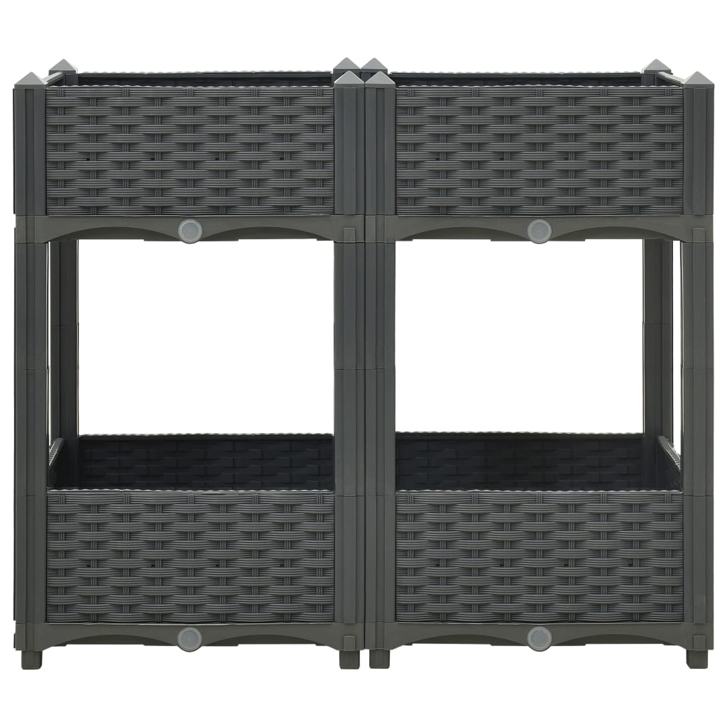 Fioriera aiuola rialzata piante fiori giardino80 x 40 x 71 cm polipropilene grigio scuro 02_0000948 - 2