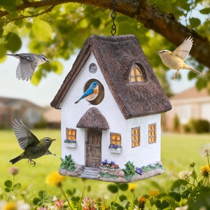 Sur Pied Nichoir Oiseaux CKB LTD Bois Bleu Avec Mangeoire - Design Mangeoire Oiseaux Exterieur Sur Pied Nichoir Oiseaux CKB LTD Bois Bleu Avec Mangeoire - Design Mangeoire Oiseaux Exterieur