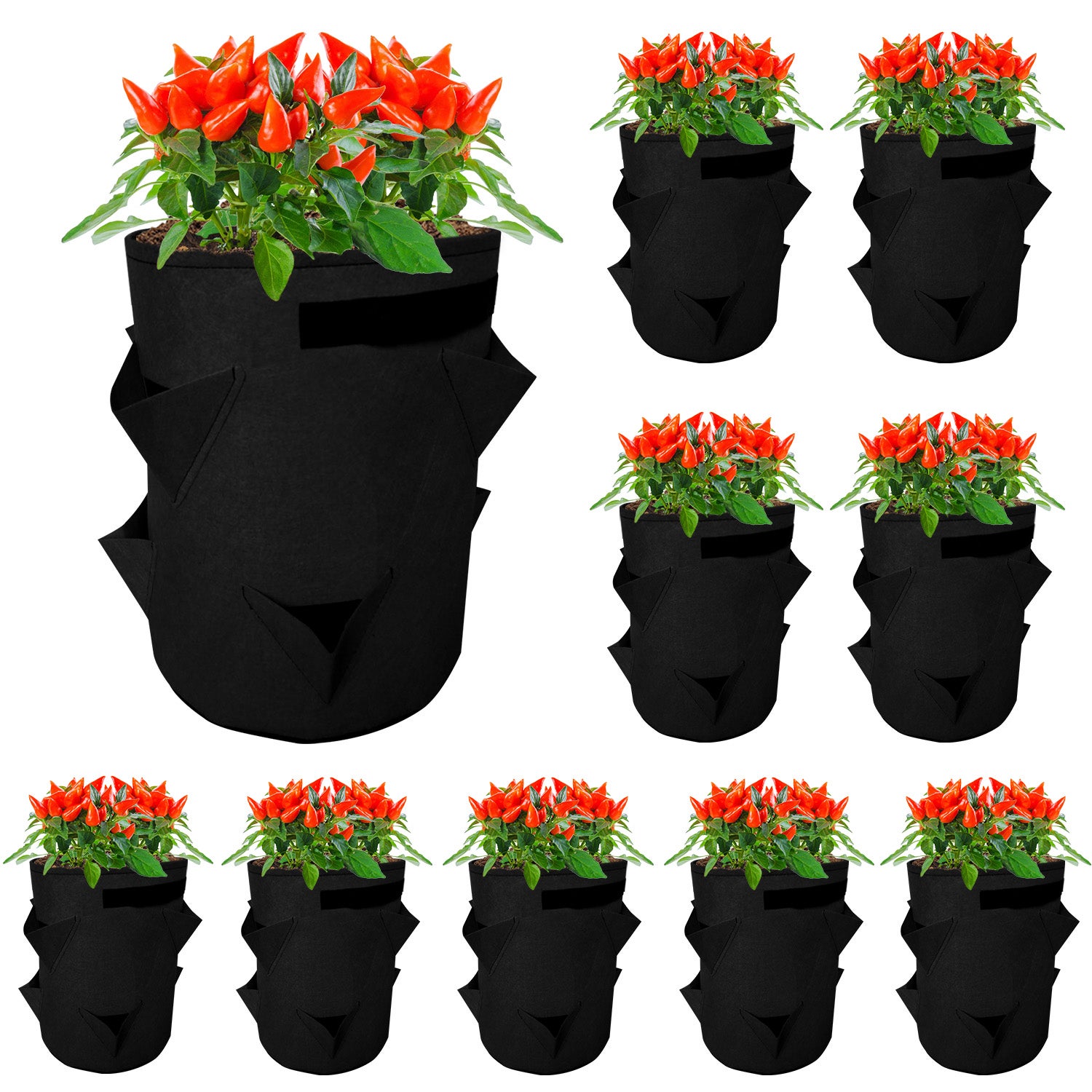 Culture Tomates Sac De Culture 38L SunStream - Lot De 5 Pots Tissu Pour Tomates Et Légumes Jardinage Extérieur Culture Tomates Sac De Culture 38L SunStream - Lot De 5 Pots Tissu Pour Tomates Et Légumes Jardinage Extérieur