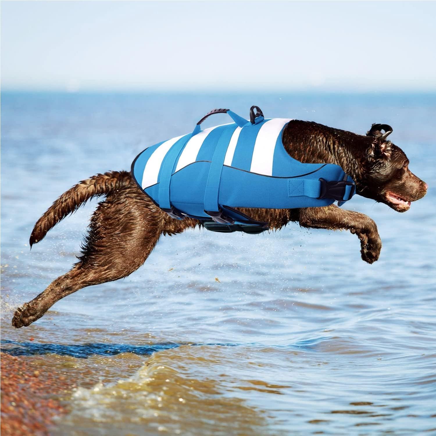 Colete salva-vidas para cães, ajustável, com alça macia, boa flutuabilidade no mar ou lago (azul, tamanho G) - 3