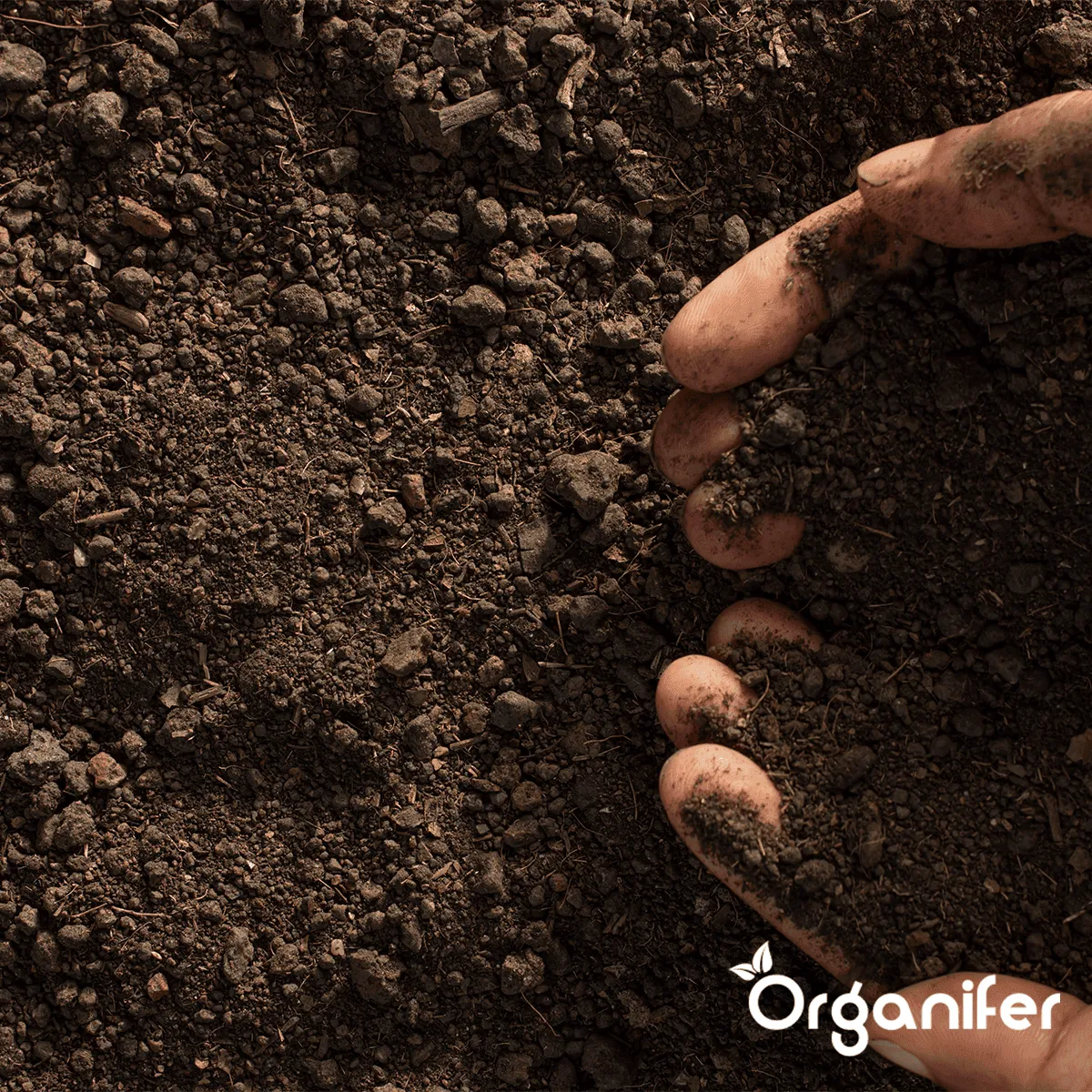 Amendement Du Sol - Mélange Activateur - Grand sac 500 Litres Pour 500M2 - Organifer - 6